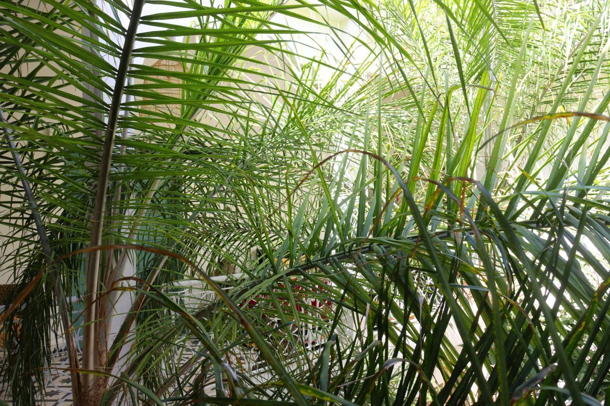 Riad Naanaa Bed & Breakfast Marrakesh Exterior photo