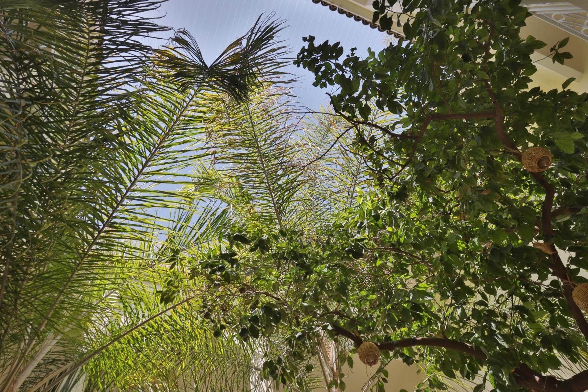 Riad Naanaa Bed & Breakfast Marrakesh Exterior photo