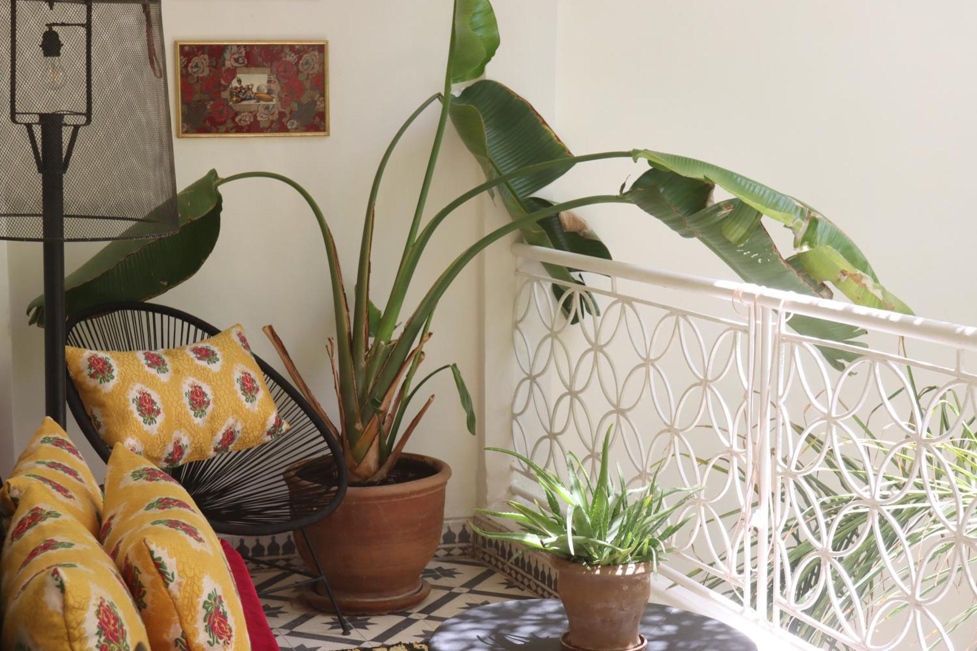 Riad Naanaa Bed & Breakfast Marrakesh Exterior photo